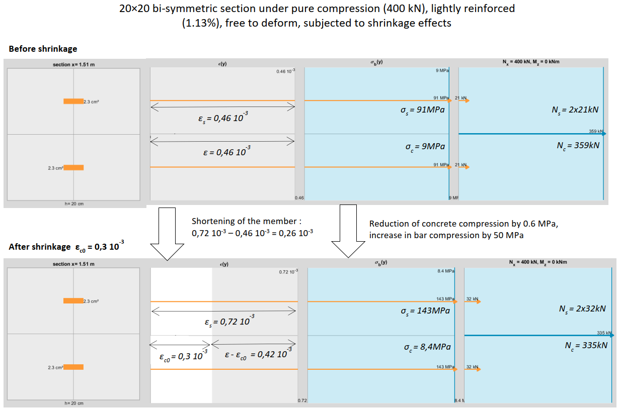 self‑stresses generated in a reinforced concrete section subjected to shrinkage
